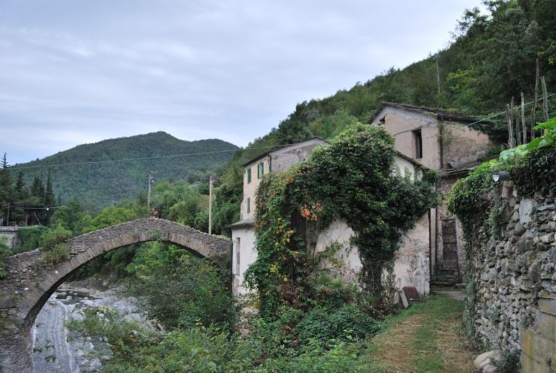 Pieve di TecoCiassa Noeva公寓 外观 照片