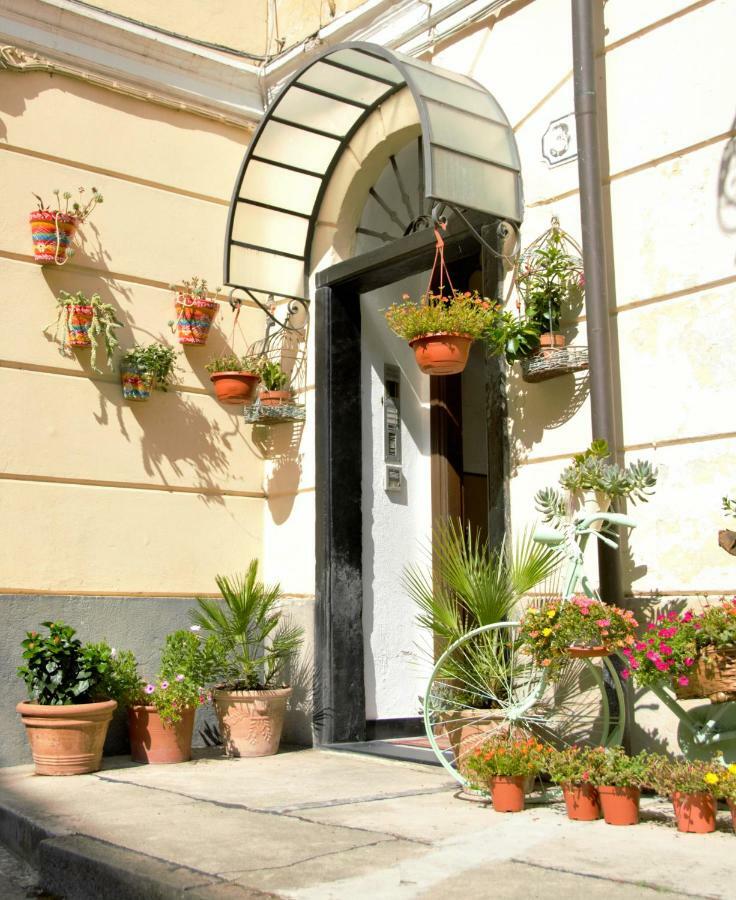 Pieve di TecoCiassa Noeva公寓 外观 照片