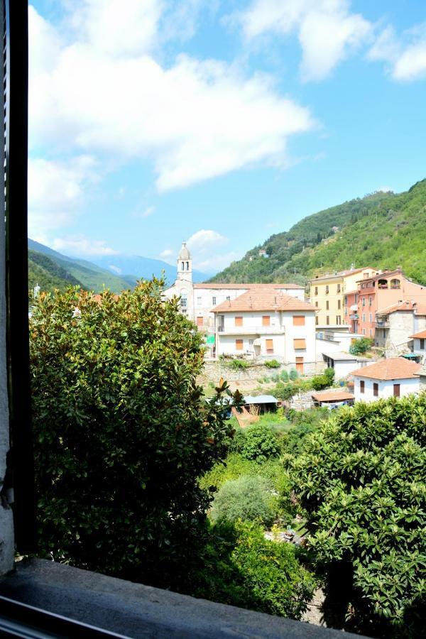 Pieve di TecoCiassa Noeva公寓 外观 照片